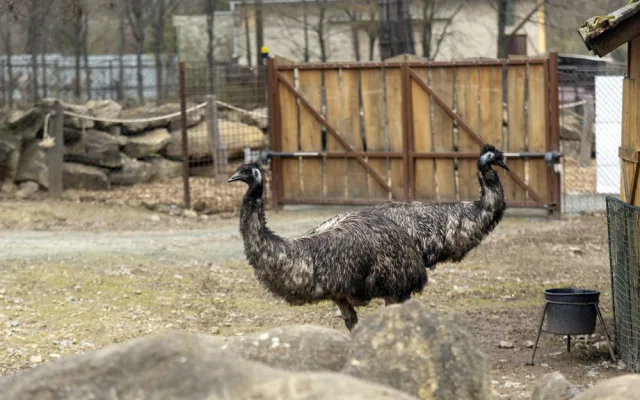 FOTOGALERIE: Olomoucká zoo výrazně rozšířila svou safari zónu