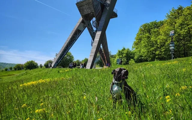 FOTOGALERIE: Okruh plný zajímavostí vhodný i pro terénní kočárek