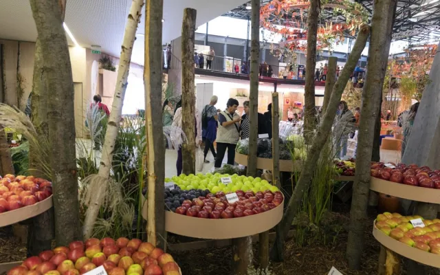 FOTOGALERIE: Podzimní Flora 2023 nese podtitul Společné kořeny