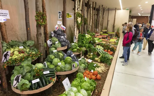 FOTOGALERIE: Podzimní Flora 2023 nese podtitul Společné kořeny