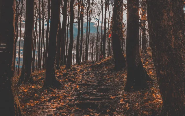 FOTOGALERIE: Krásné Hostýnské vrchy, ideální procházka na konec roku