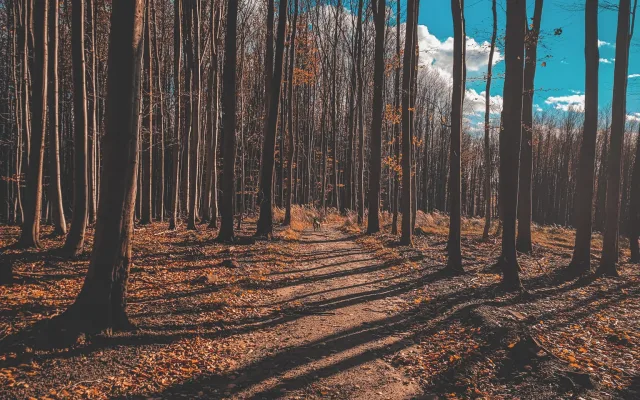 FOTOGALERIE: Krásné Hostýnské vrchy, ideální procházka na konec roku