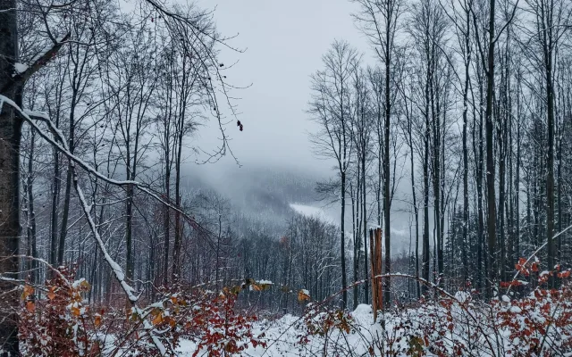 FOTOGALERIE: Zima na Rabštejně je kouzelná