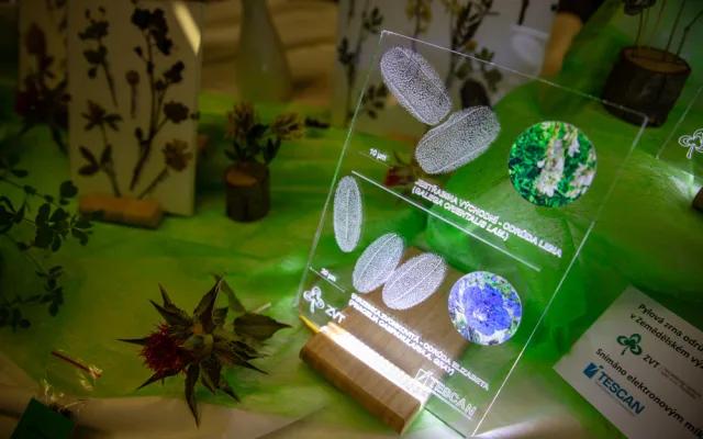 FOTOGALERIE: Barvy a vůně podzimu. V Olomouci začala oblíbená výstava Flora