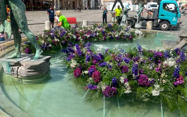 Pestrobarevná krása u radnice. Kašnu v Olomouci zdobí aranžmá ze stovek květů