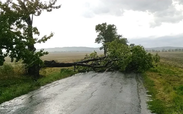 Spadlé stromy a větve. Hasiči mají v kraji kvůli bouřkám už čtyřicítku výjezdů
