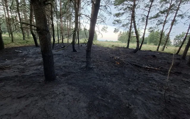 Hasiči se v noci nezastavili. V Bedihošti hořel stoh slámy, v Tršicích les