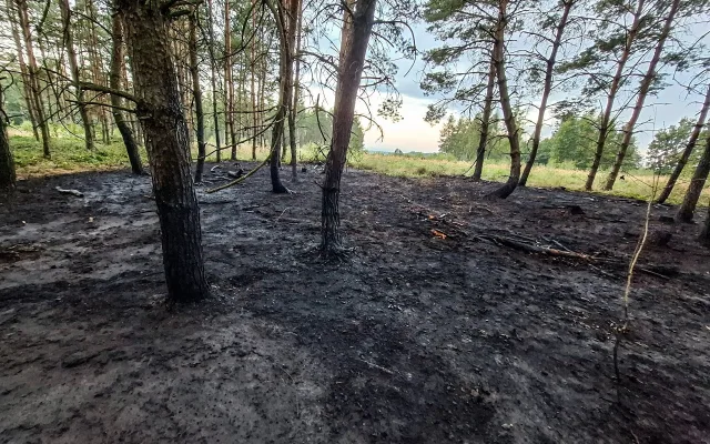 Hasiči se v noci nezastavili. V Bedihošti hořel stoh slámy, v Tršicích les