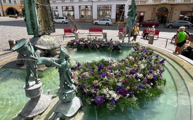 Pestrobarevná krása u radnice. Kašnu v Olomouci zdobí aranžmá ze stovek květů