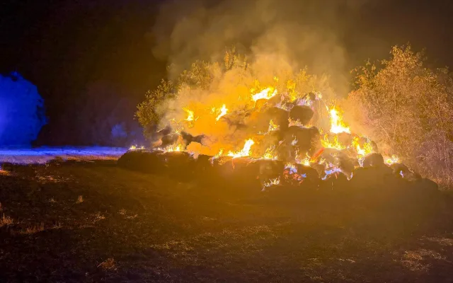 Hasiči se v noci nezastavili. V Bedihošti hořel stoh slámy, v Tršicích les