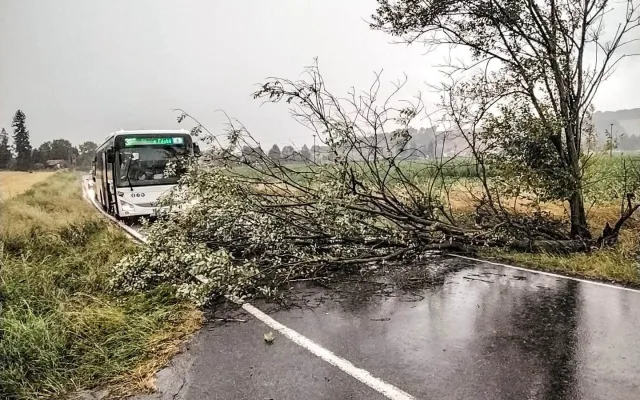 Spadlé stromy a větve. Hasiči mají v kraji kvůli bouřkám už čtyřicítku výjezdů