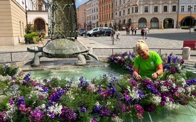 Pestrobarevná krása u radnice. Kašnu v Olomouci zdobí aranžmá ze stovek květů