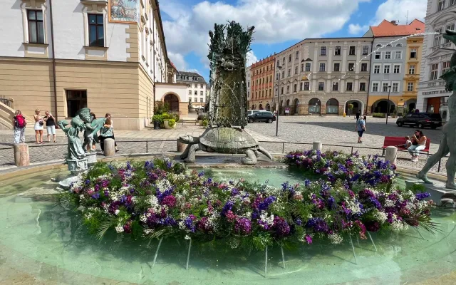 Pestrobarevná krása u radnice. Kašnu v Olomouci zdobí aranžmá ze stovek květů