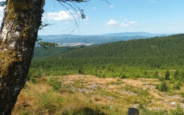TIP NA VÝLET: Šplhání po skalách, lesy a výhledy. Výlet na Kamenný vrch u Šumperka