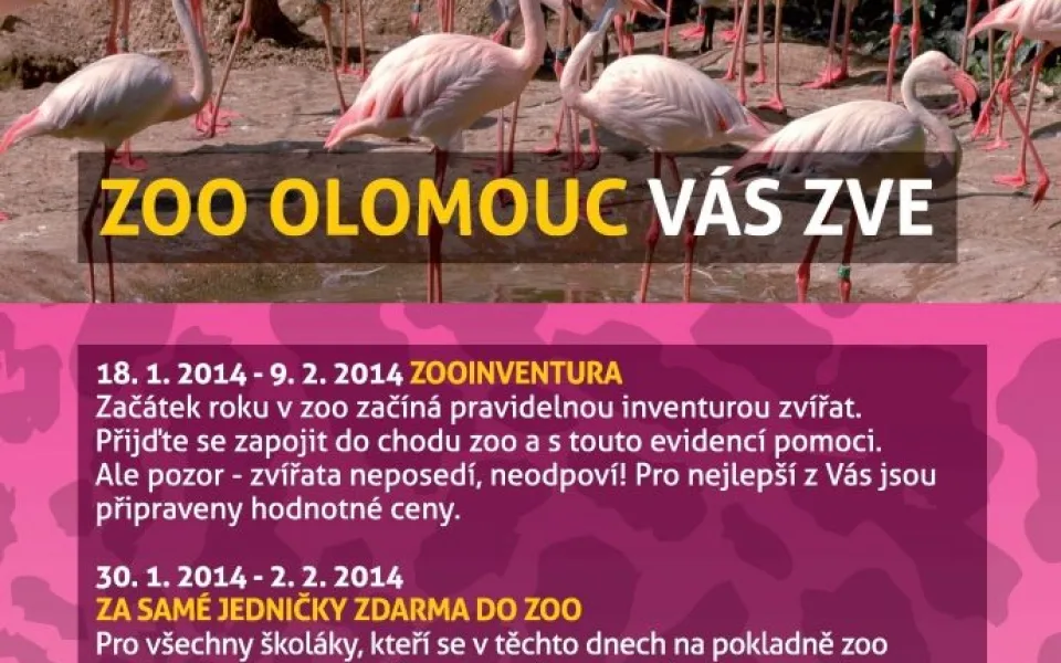 zooinventura