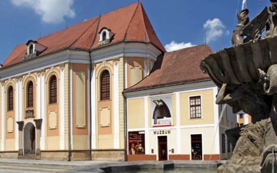 www.vmo.cz