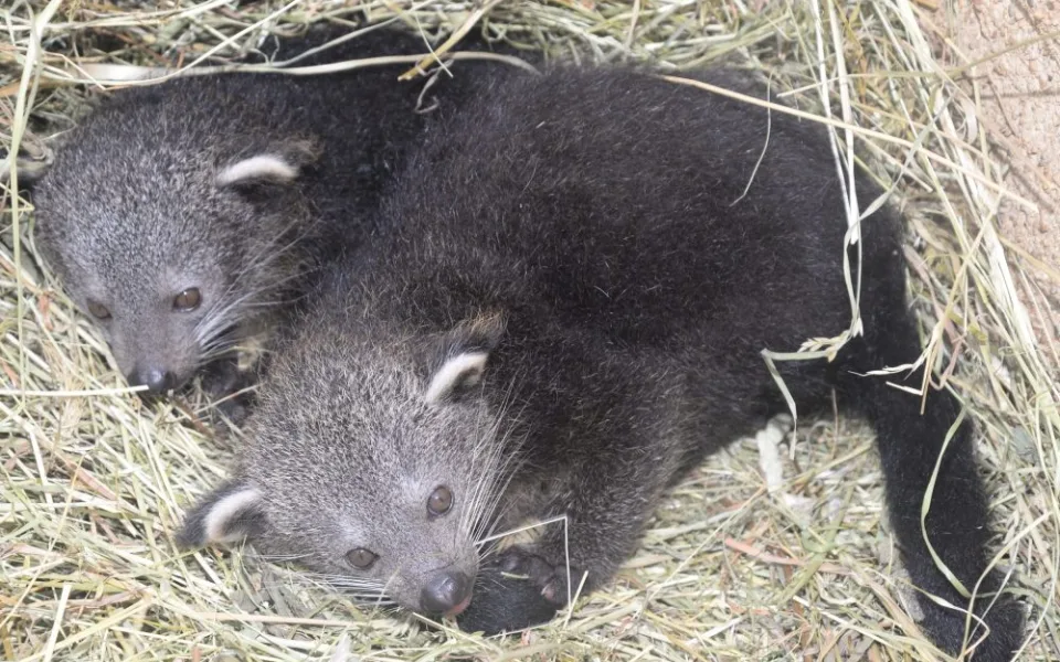Zoo Olomouc