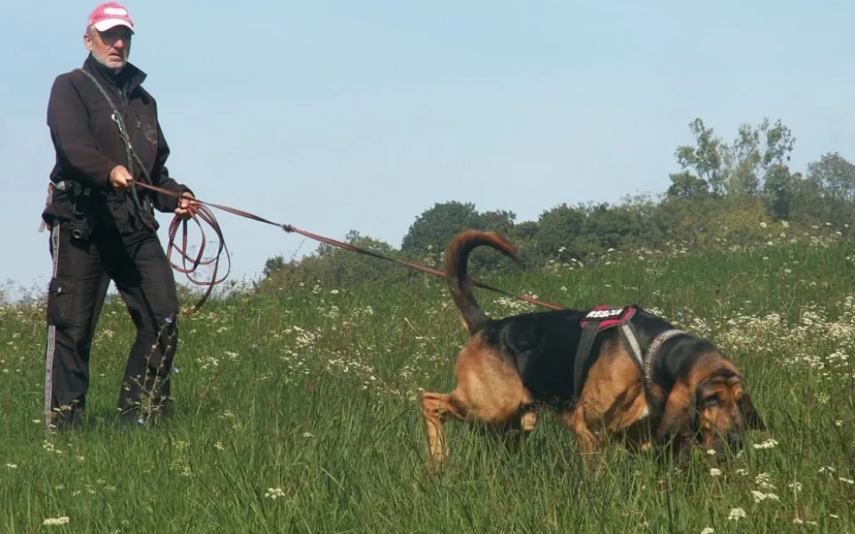 zdroj: http://rescueolomouc.cz/patrani