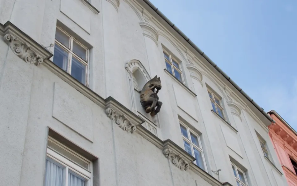 Oči vzhůru: Tajemství olomouckého černého koně