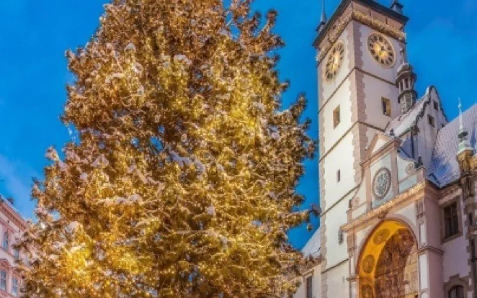zdroj: olomouc.eu