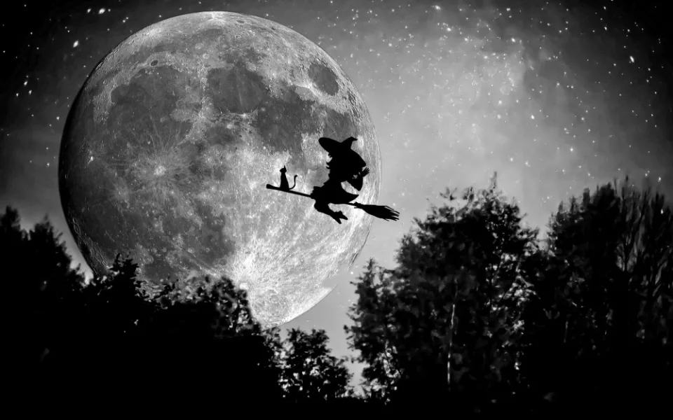 ilustrační fotografie