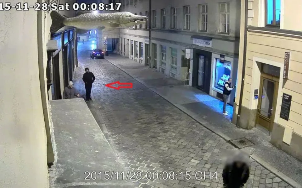 Podezřelý pachatel