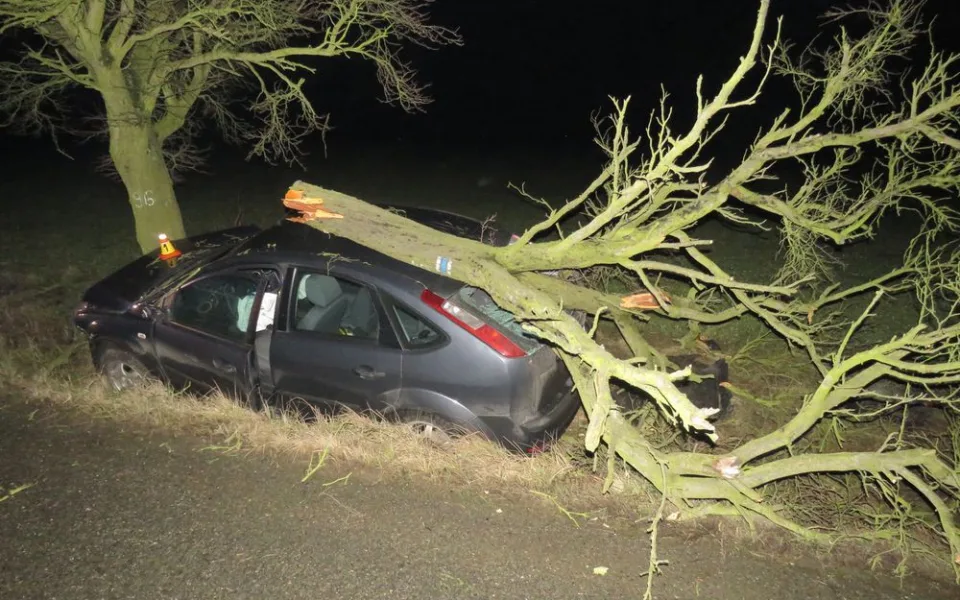 Opilý řidič nezvládl své auto, vyletěl s ním ze silnice a přerazil vzrostlý strom