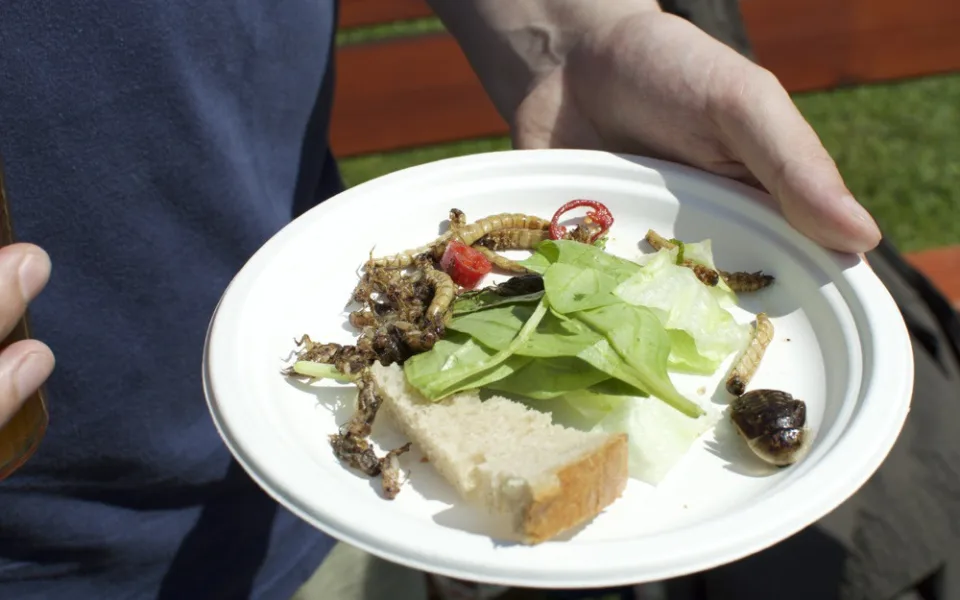 Přípravy na Garden Food Festival vrcholí, můžete se těšit na netradiční speciality a známé kuchaře