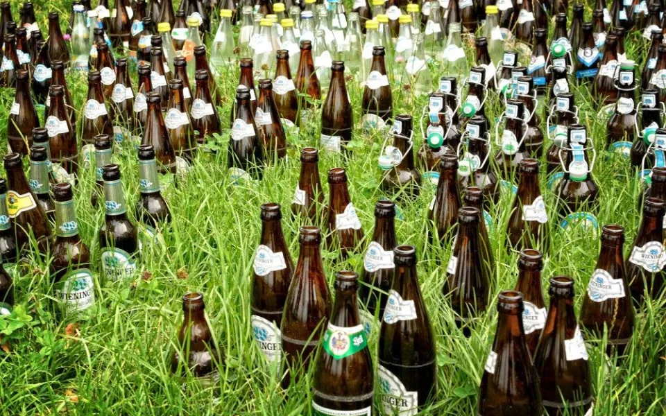 Pivo