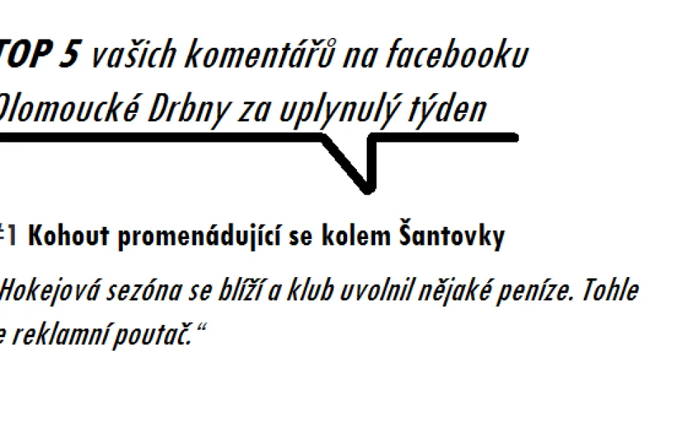 Kohout