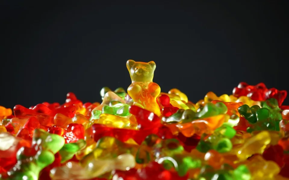 gold-bear-gummi-bears-bear-yellow-55825