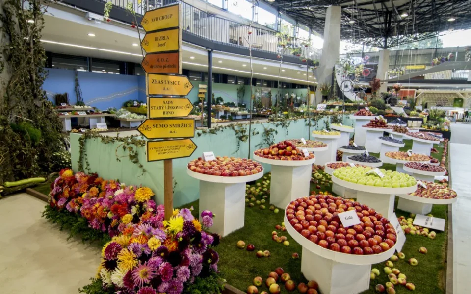 Letošní podzimní Flora láká na plné sklepy a spíže. Vyhrajte na ni lístky!