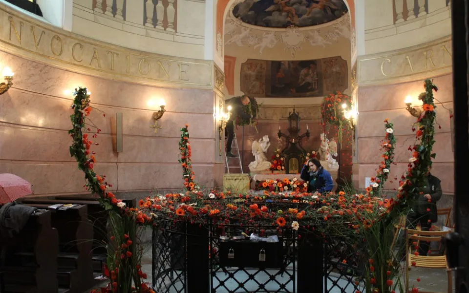 FOTOGALERIE: Olomoucké památky rozkvetly květinami, podívejte se na tu krásu