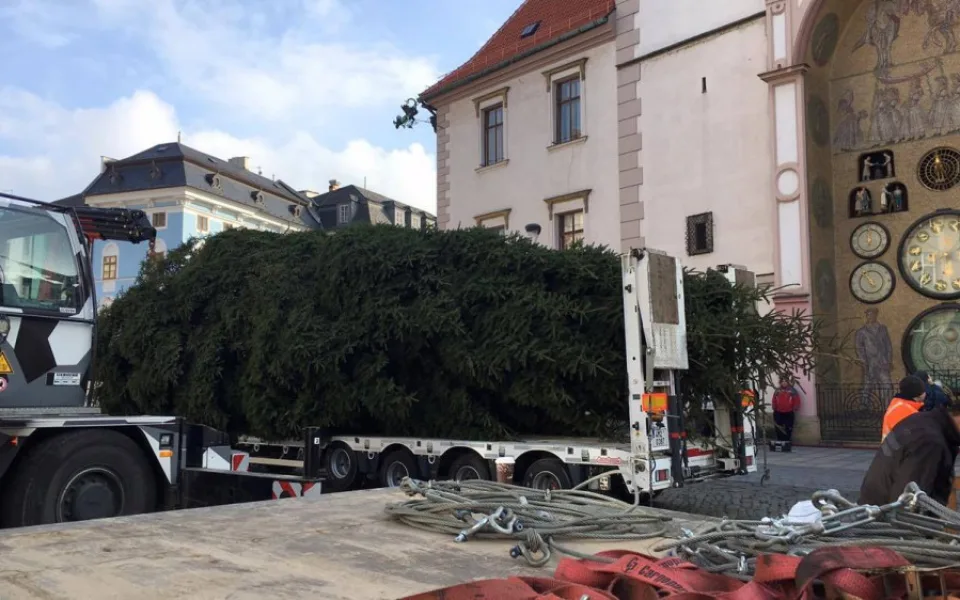 Na Horním náměstí už stojí vánoční stromeček. Pochází z Dubu nad Moravou a je vysoký 15 metrů