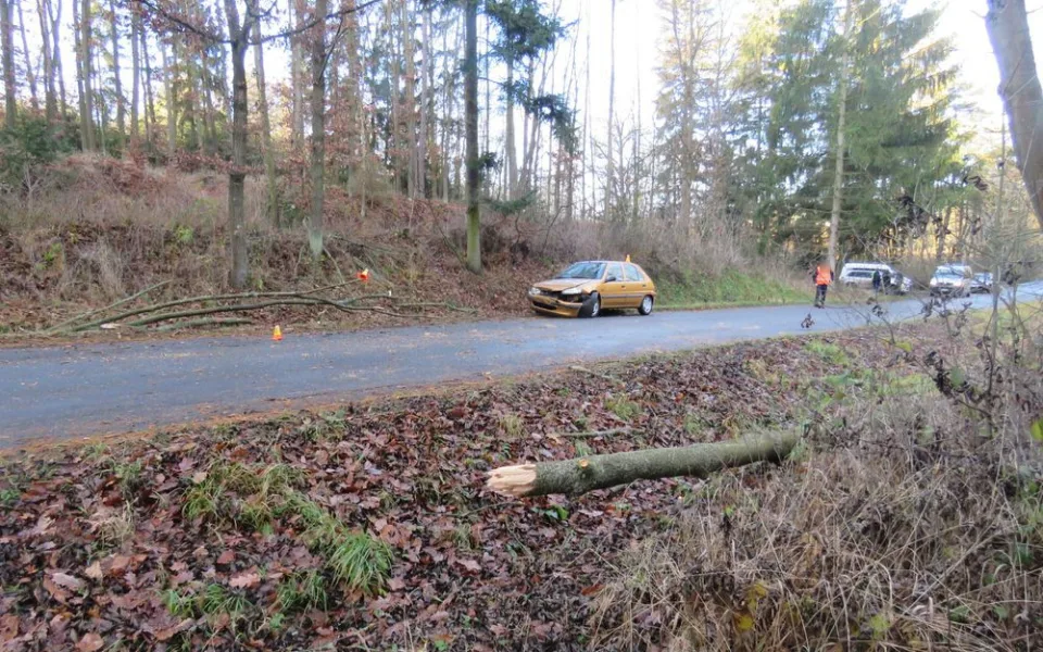Vítr vyvrátil strom u cesty, ten spadl přímo na projíždějící auto