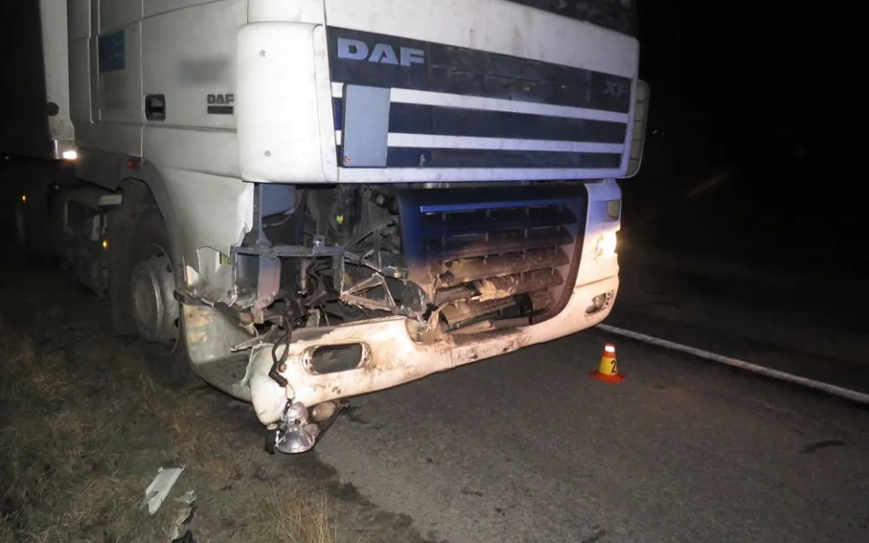U Přemyslovic se střetlo divoké prase s kamionem, škoda je vyčíslena na 65 tisíc korun