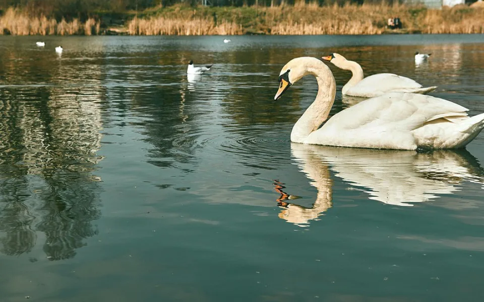 ilustrační foto