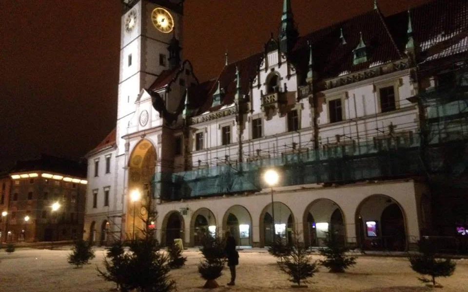 Olomoucké Horní náměstí zdobí les z použitých vánočních stromků