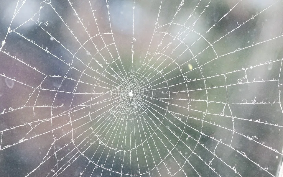 ilustrační fotografie