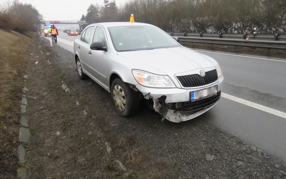 Řidič srazil na dálnici pobíhajícího psa
