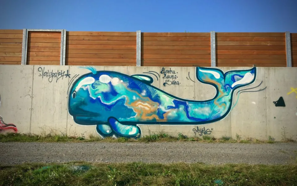 KULTURA V OLOMOUCI: Začátek streetartového festivalu a premiéra Othella