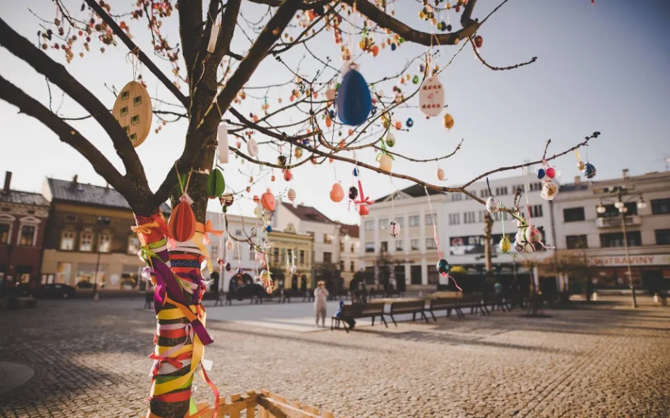 Kralicovník (Foto: Pavel Jakubka)