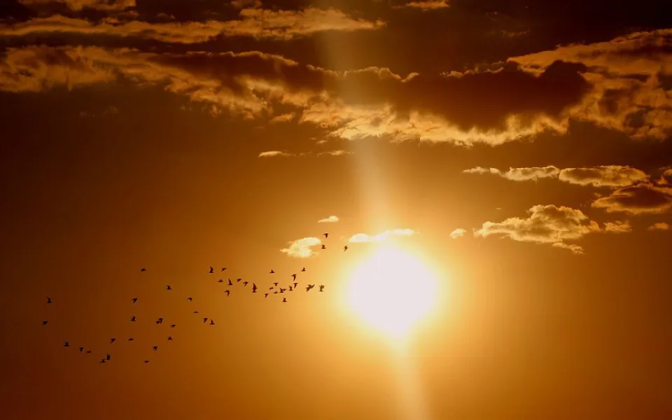 sunset-1625073_960_720