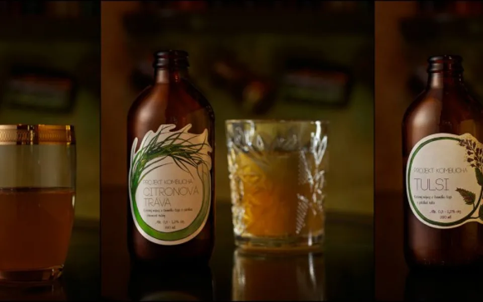 Kvašený nápoj kombucha – přírodní, povzbuzující, originální a hlavně olomoucký