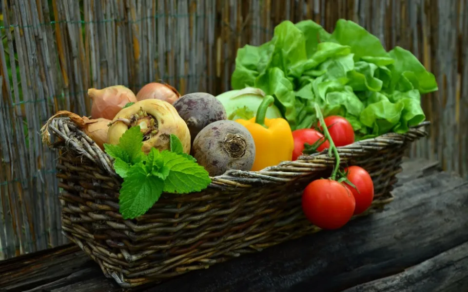 Zdravé jídlo, workshopy a koncerty. Nejen to nabídne veganský festival v Olomouci