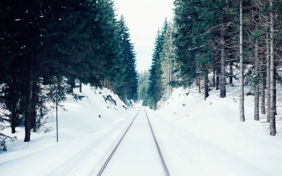 ilustrační fotografie