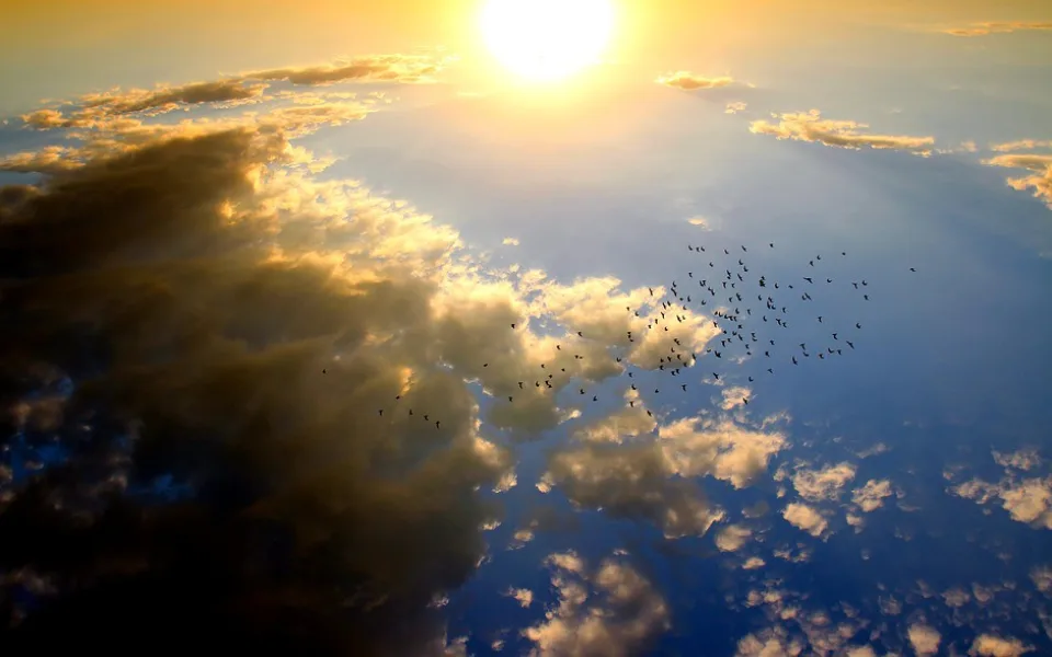 ilustrační fotografiepi