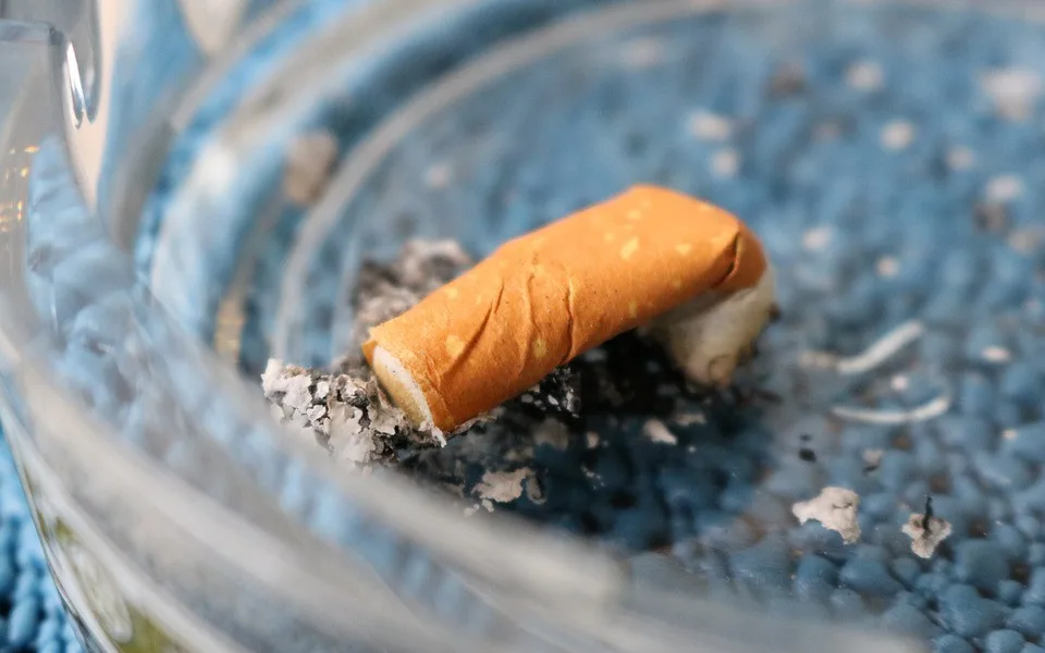 První den bez kouření v restauracích a hospodách tak dramatický nebyl, lidé zaplnili zahrádky