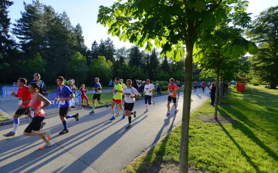 Veletrh Moravia Sport Expo nabídne zábavu, skvělé běžce i prezentaci olomouckých klubů