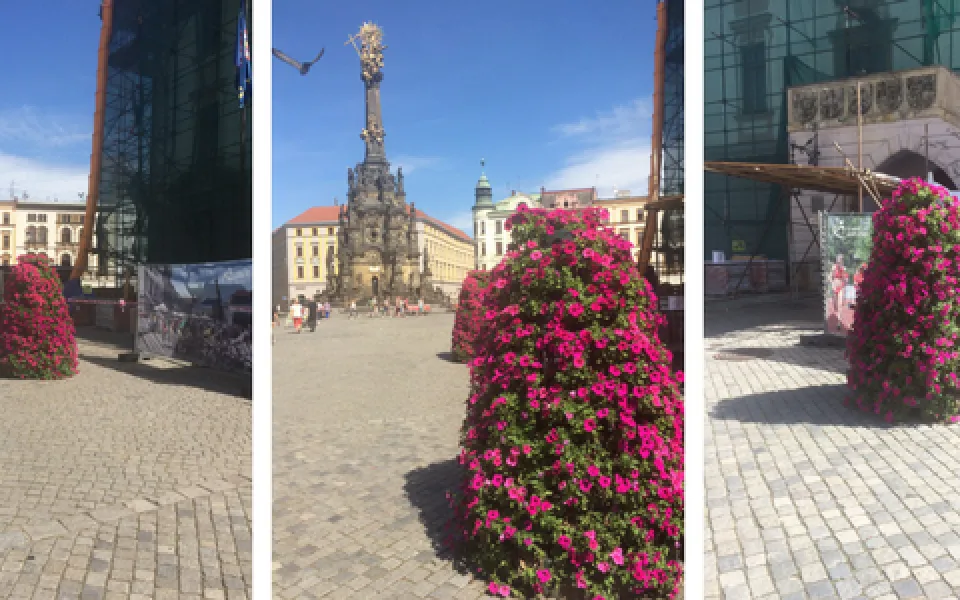 Centrum Olomouce ozdobily květinové pyramidy. Výzdoba zůstane až do podzimu